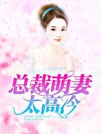 总裁萌妻太高冷封面