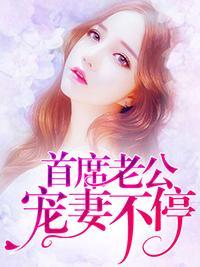首席老公宠妻不停封面