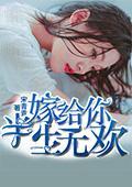 嫁给你，半生无欢封面