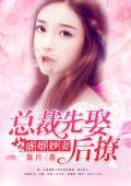 盛婚妙妻：总裁先娶后撩封面