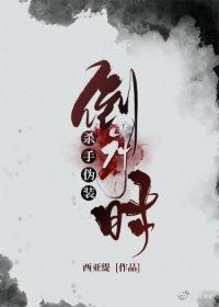 杀手伪装进行时封面