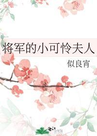 将军的小可怜夫人封面