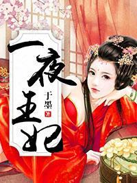 一夜王妃封面