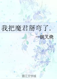 我把魔君掰弯了封面