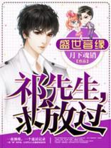 盛世音缘：祁先生，求放过封面