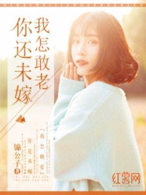 苏沫陆景炎封面
