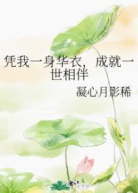 凭我一身华衣，成就一世相伴封面