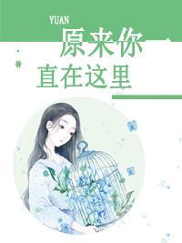 原来你一直在这里封面