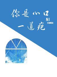 你是心口一道疤封面