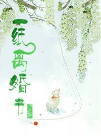 一纸离婚书封面
