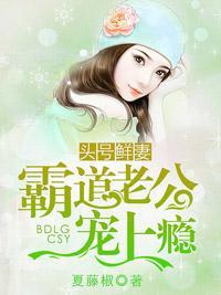 头号鲜妻，霸道老公宠上瘾封面