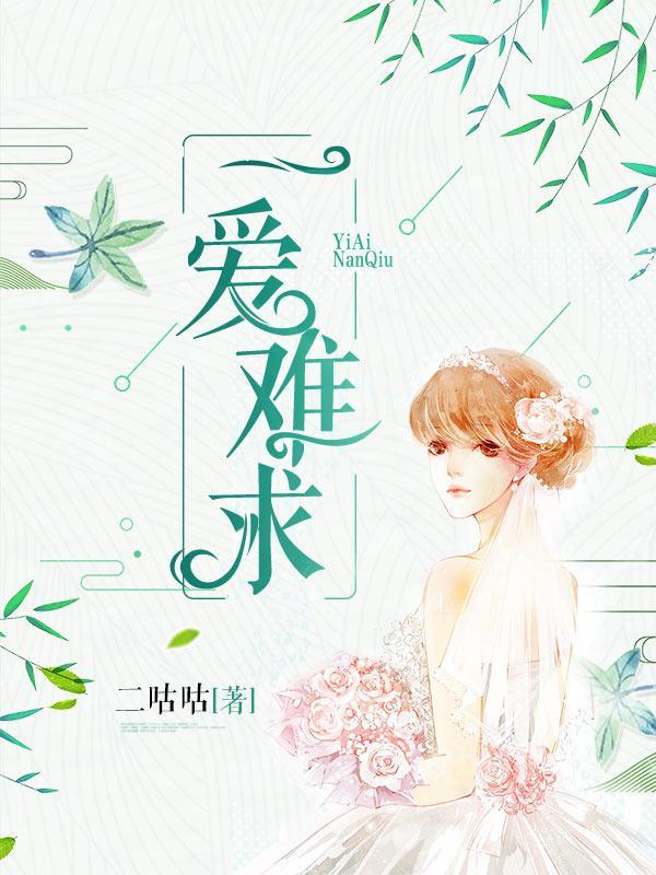 一爱难求封面