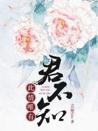 此情唯有君不知封面