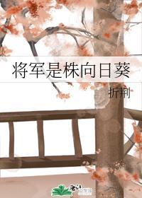将军是株向日葵封面