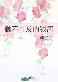 触不可及的银河封面