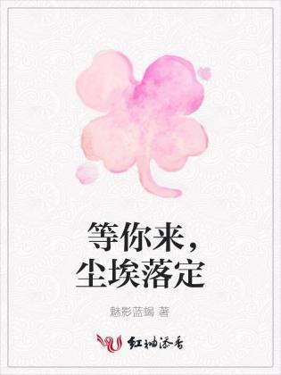 等你来，尘埃落定封面