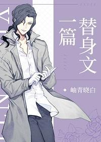 一篇替身文封面
