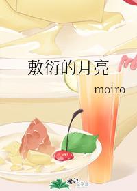 敷衍的月亮封面