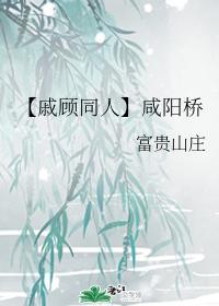 咸阳桥封面