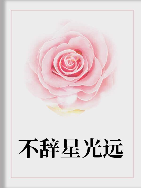 不辞星光远封面