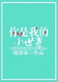 你是我的小世界封面
