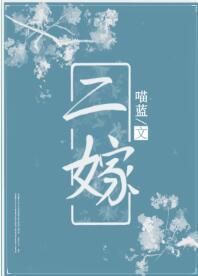 二嫁封面