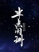 半点阑珊封面