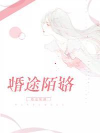 婚途陌路封面
