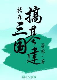 我在三国搞基建封面