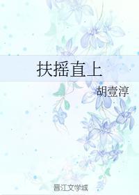 扶摇直上封面