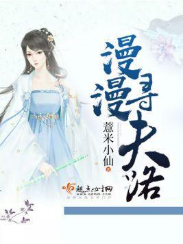 漫漫寻夫路封面