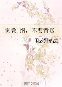 [家教]纲，不要背叛封面
