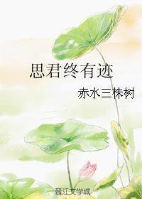思君终有迹封面