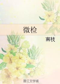微检封面