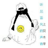 听见蓝风的声音封面