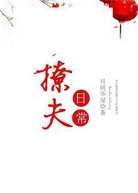 撩夫日常封面