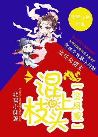 混上枝头变凤凰封面