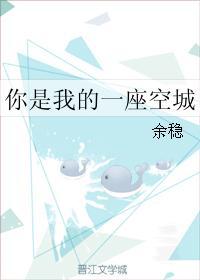 你是我的一座空城封面