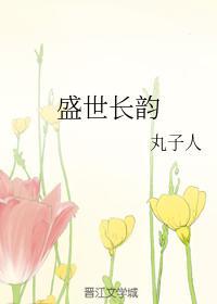 盛世长韵封面
