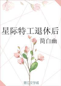 星际特工退休后封面