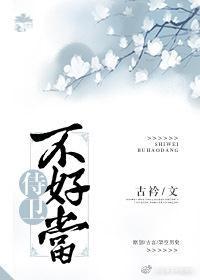侍卫不好当封面