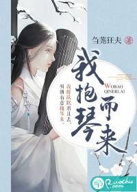 我抱琴而来封面