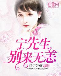 宁先生，别来无恙封面