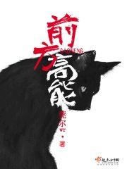 前方高能封面