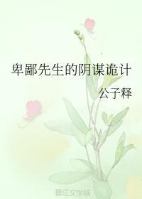 卑鄙先生的阴谋诡计封面