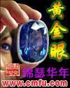 黄金眼封面