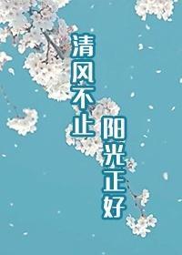 清风不止 阳光正好封面