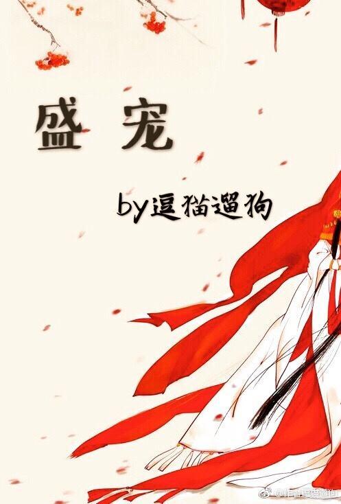 盛宠封面