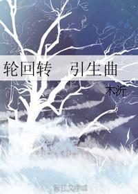 轮回转 引生曲封面