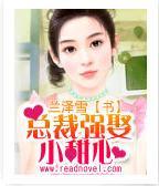 总裁强娶小甜心封面